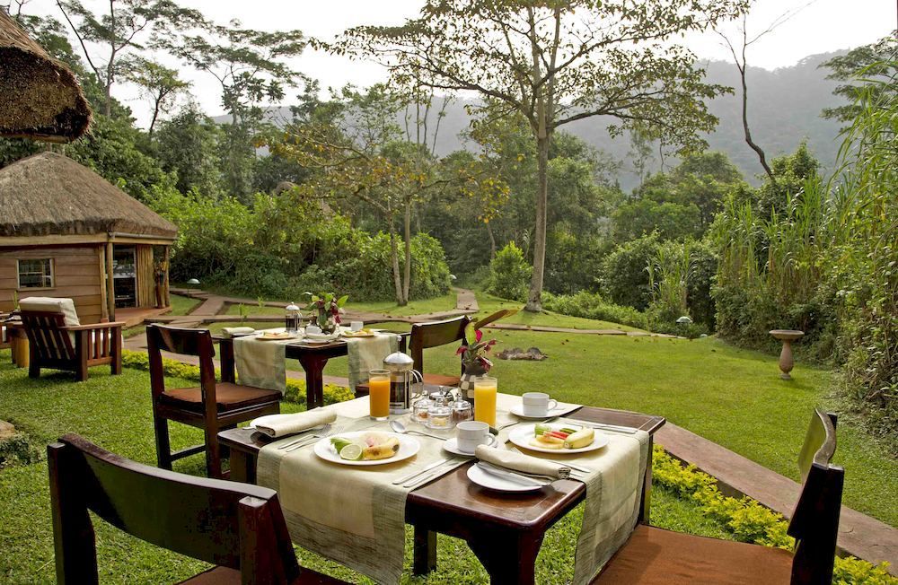 Sanctuary Gorilla Forest Camp 호텔 Ntungamo  외부 사진