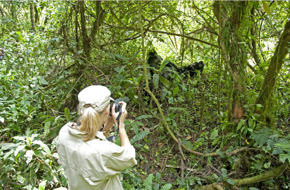 Sanctuary Gorilla Forest Camp 호텔 Ntungamo  외부 사진